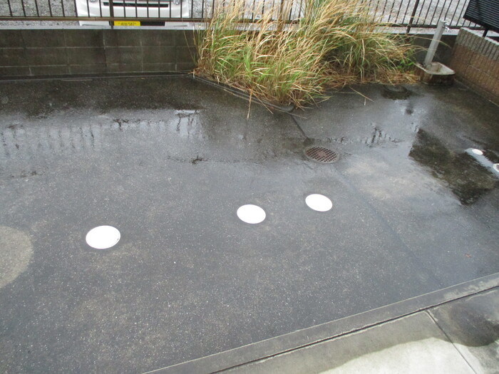 ヴェルドミール壱番館の庭