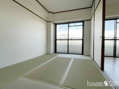  | アメノカサ鳴尾