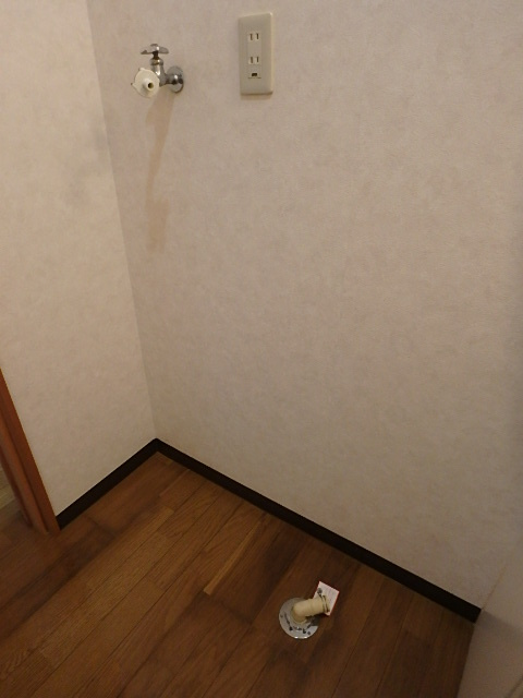 アピネス　A棟の洗面所|A3の写真