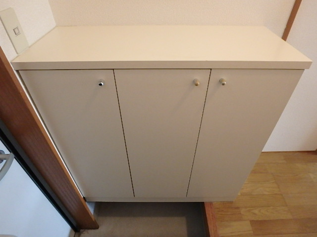 アピネス　A棟の玄関|A3の写真