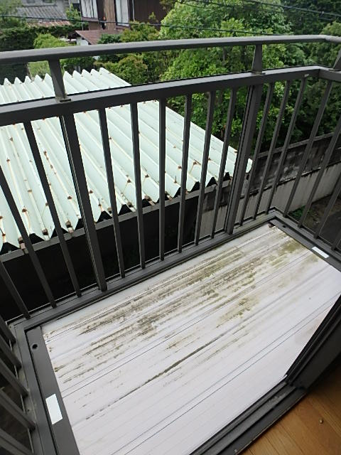 アピネス　A棟のバルコニー|A3の写真