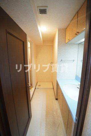 ダイアパレスポートアネックス千葉の洗面所