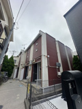 レオネクストラベンダーの画像