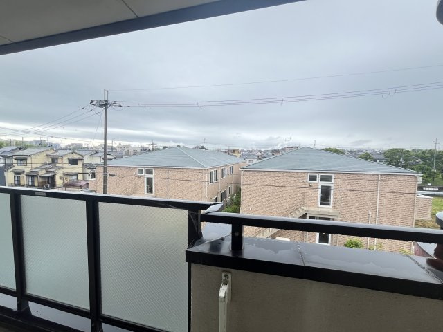 ウィスタリア藤の展望