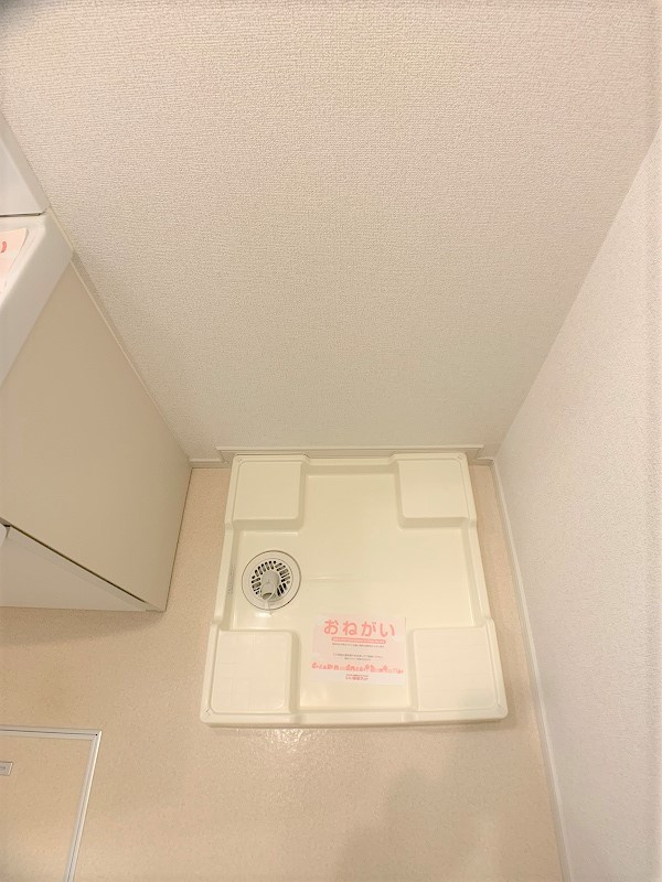 オリーブの設備