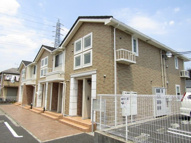 フォリアカーサの画像