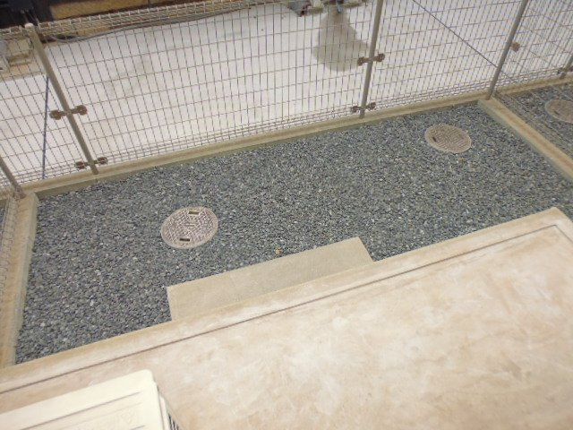 アデランテの庭