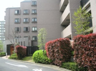 コスモ千鳥町ロイヤルフォルムの画像
