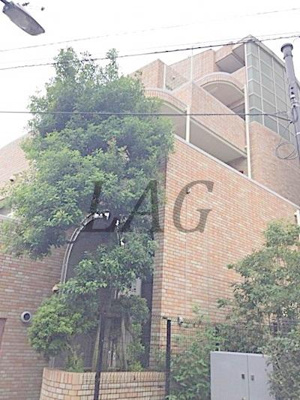 【外観】 | サンハイツ | 外観です。