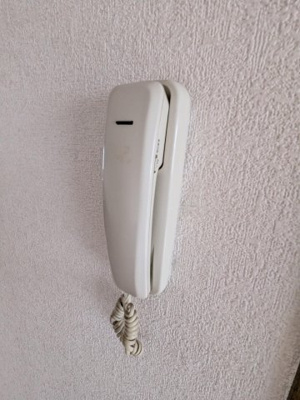 【セキュリティ】 | セジュールダイブ