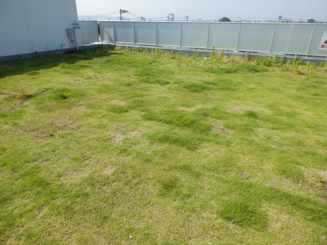 J-003のその他共用部分|屋上ドックラン
サンプル写真となります。