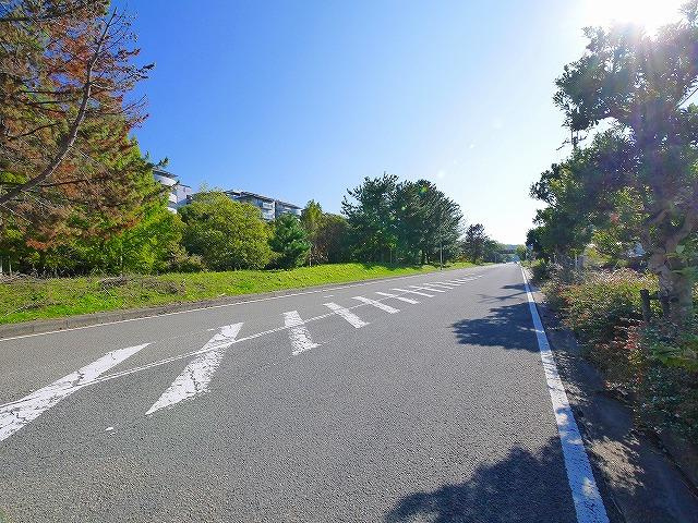 ガーデンシティの周辺