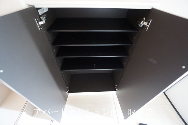 ビセスティーレの収納