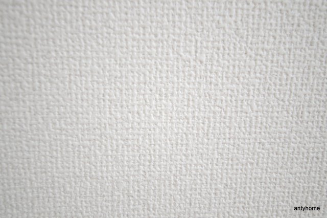 ユーロハイツ天神橋　仲介手数料無料の内装