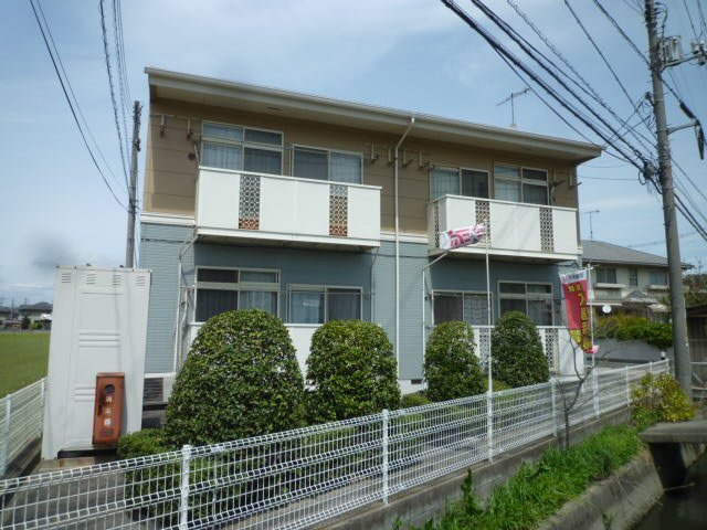 ニューシティ定金