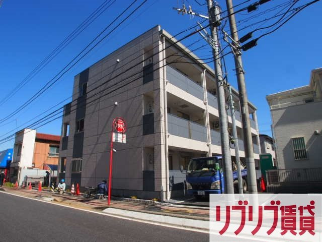 ウィズダム