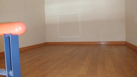 シルフハイムのその他|ロフト結構広いです