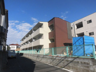 M. Feliceの画像