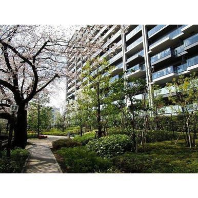 【外観】 | シティテラス加賀