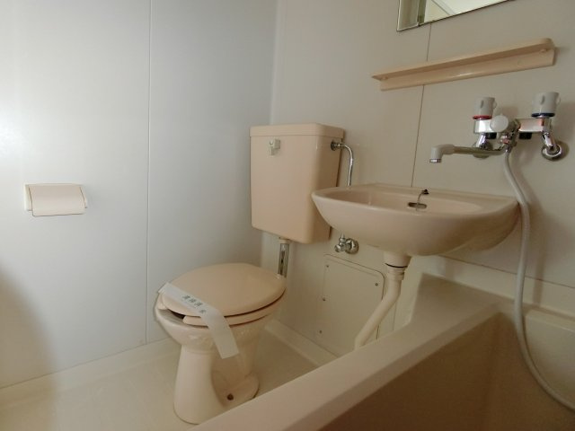 フレグランスレイC　の洗面所