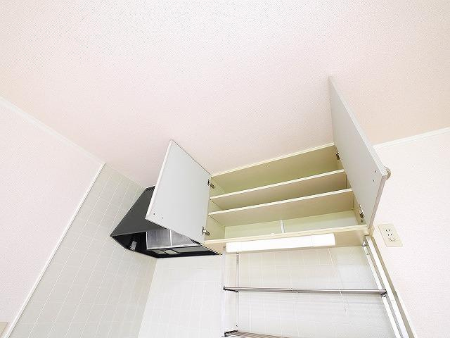 シェルゼファーの収納|こまごまとしたものを収納できそうですね