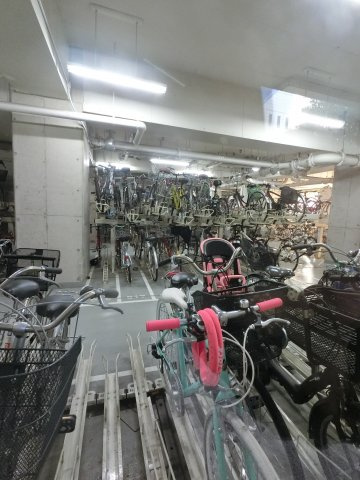 【周辺】 | 駐輪場