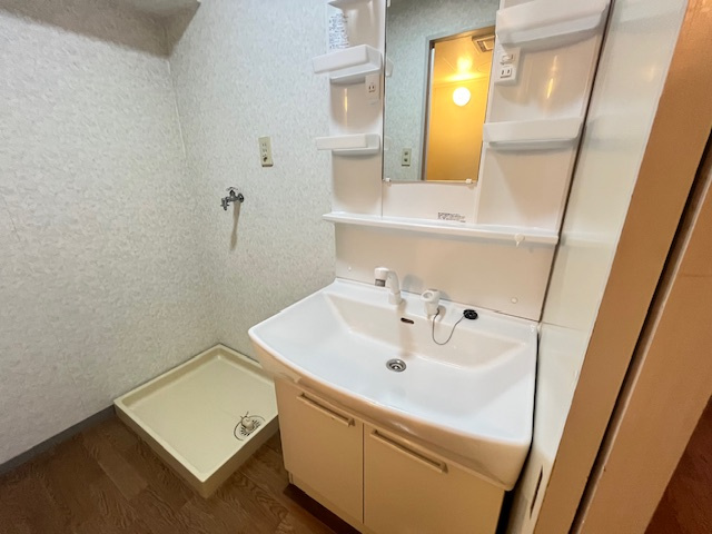 エレガントライフマンションの洗面所