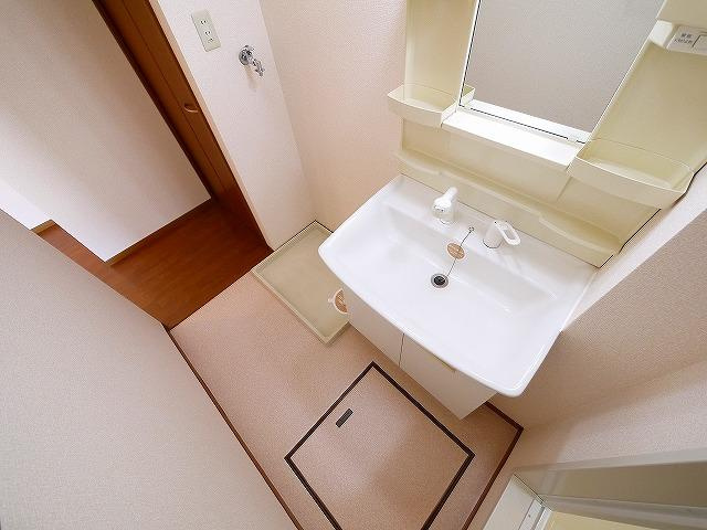 ラフィーネ結崎　Ｂ棟の洗面所|洗髪洗面化粧台です