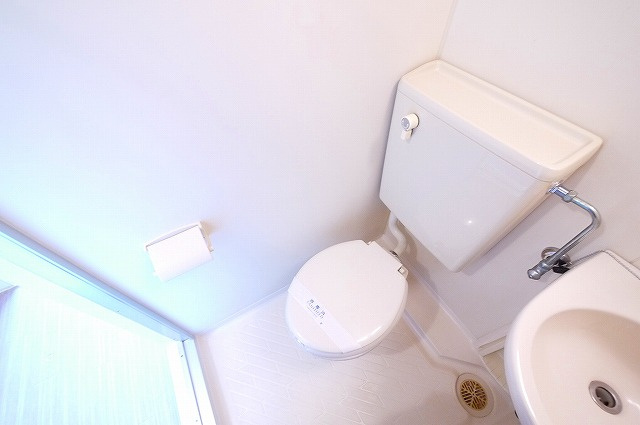 白樺ハイツ大宮Ⅲのトイレ|お手入れしやすいトイレです。