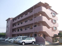 ロゼオ・フィオーレの画像