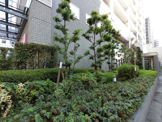 【エントランス】