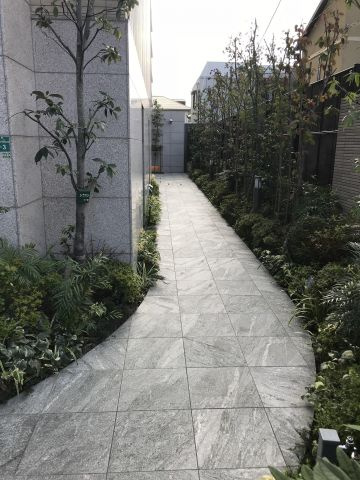 ブランズ芦屋浜町の外観