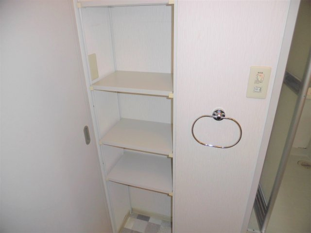 グリーンパークはやのA棟の洗面所