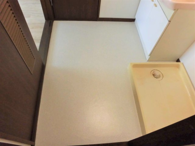 ラポールおおいＡの洗面所