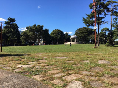 【周辺】 | ボヌールガーデン相模大野2 | 近くに相模大野中央公園があります。
とても大きな公園になっていまして休日は
お子様とスポーツなどで遊ぶのも良いですね。