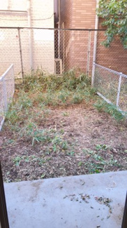  | ライオンズマンション椎名町