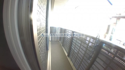 【展望】 | La Luce