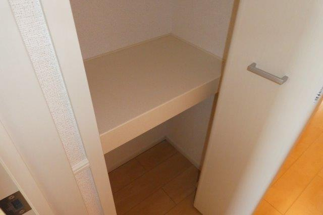 エテルナナリッシュⅡの収納|廊下収納