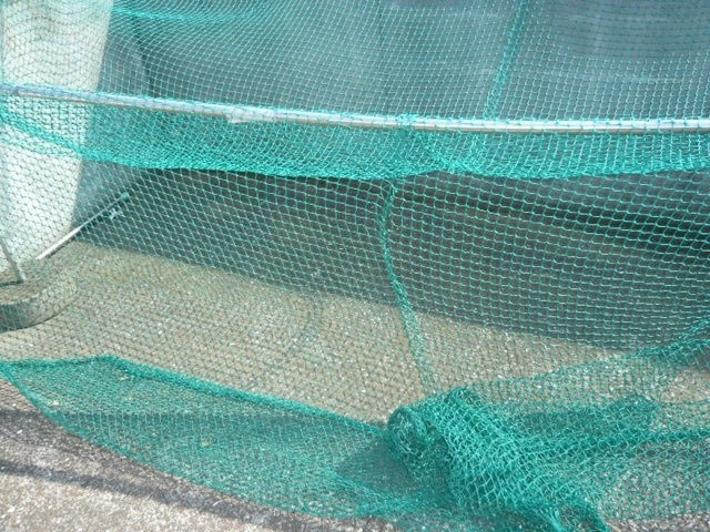 エルデムコーヨーＡのその他共用部分