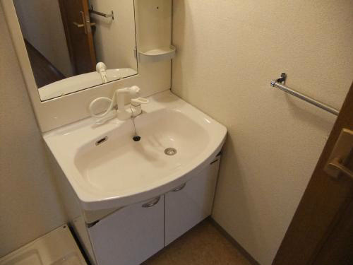 ＤＩＡ住之江IIの独立洗面台