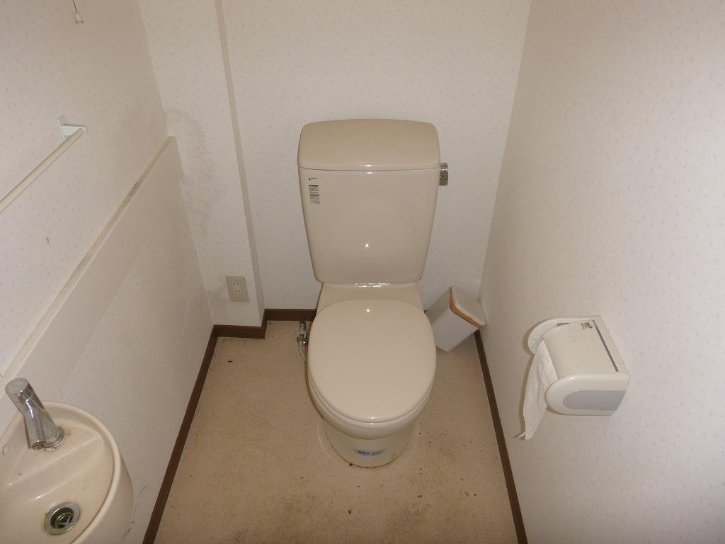 グリーンビルのトイレ