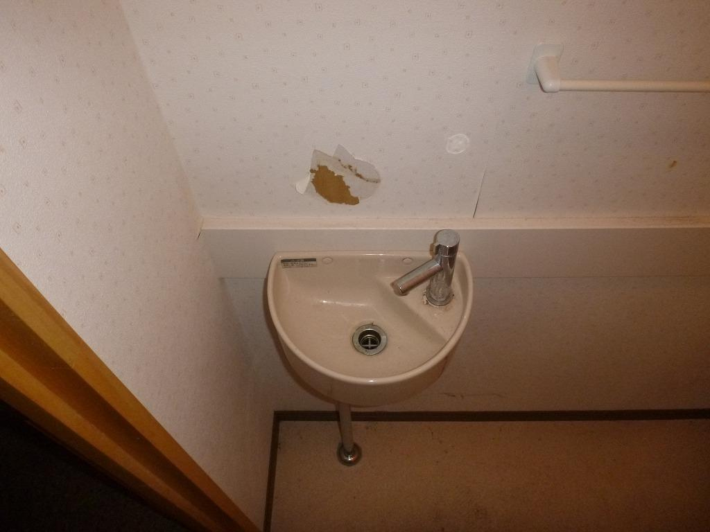 グリーンビルのトイレ