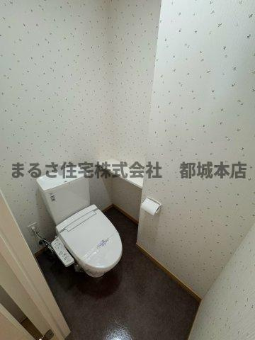 スカイコート大王のトイレ