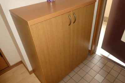 【内装】 | マーヴェラスパレスⅡ | シューズボックス