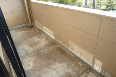 【バルコニー】 | マーヴェラスパレスⅡ