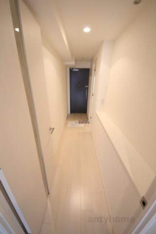 エスキュート西天満　仲介手数料無料の玄関