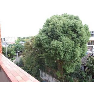 【展望】 | エバーライフ赤坂