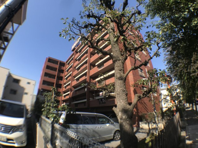 【外観】 | 清川六番館