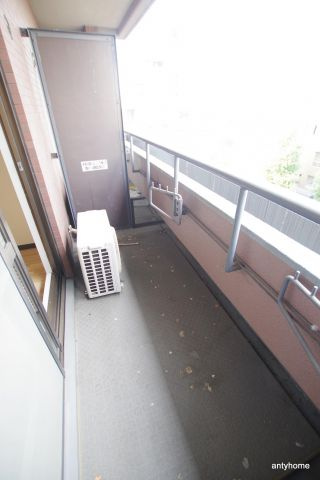 ルイシャトレ中之島　仲介手数料無料のバルコニー