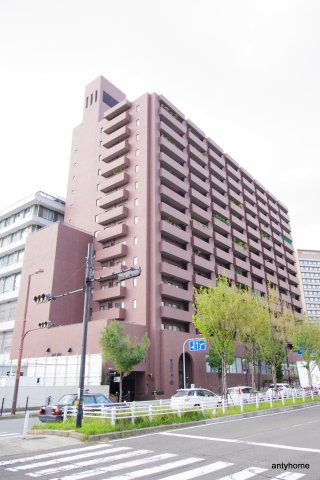 ルイシャトレ中之島　仲介手数料無料の外観